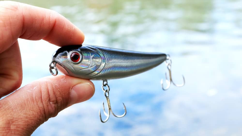 How to Choose Bait – Things to Consider when choosing Bait