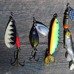 Know more the advantages and disadvantages of freshwater and saltwater fishing