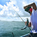 Fishing Boat Rods Holder buyers guide