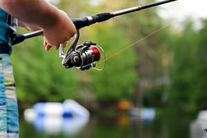 The Key Considerations For Choosing A Spinning Fishing Reel