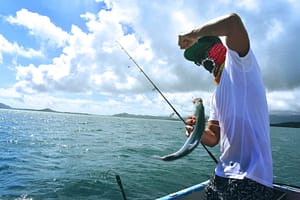 Know more the advantages and disadvantages of freshwater and saltwater fishing