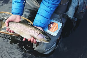 How to Choose the Right Leader for Fly Fishing?