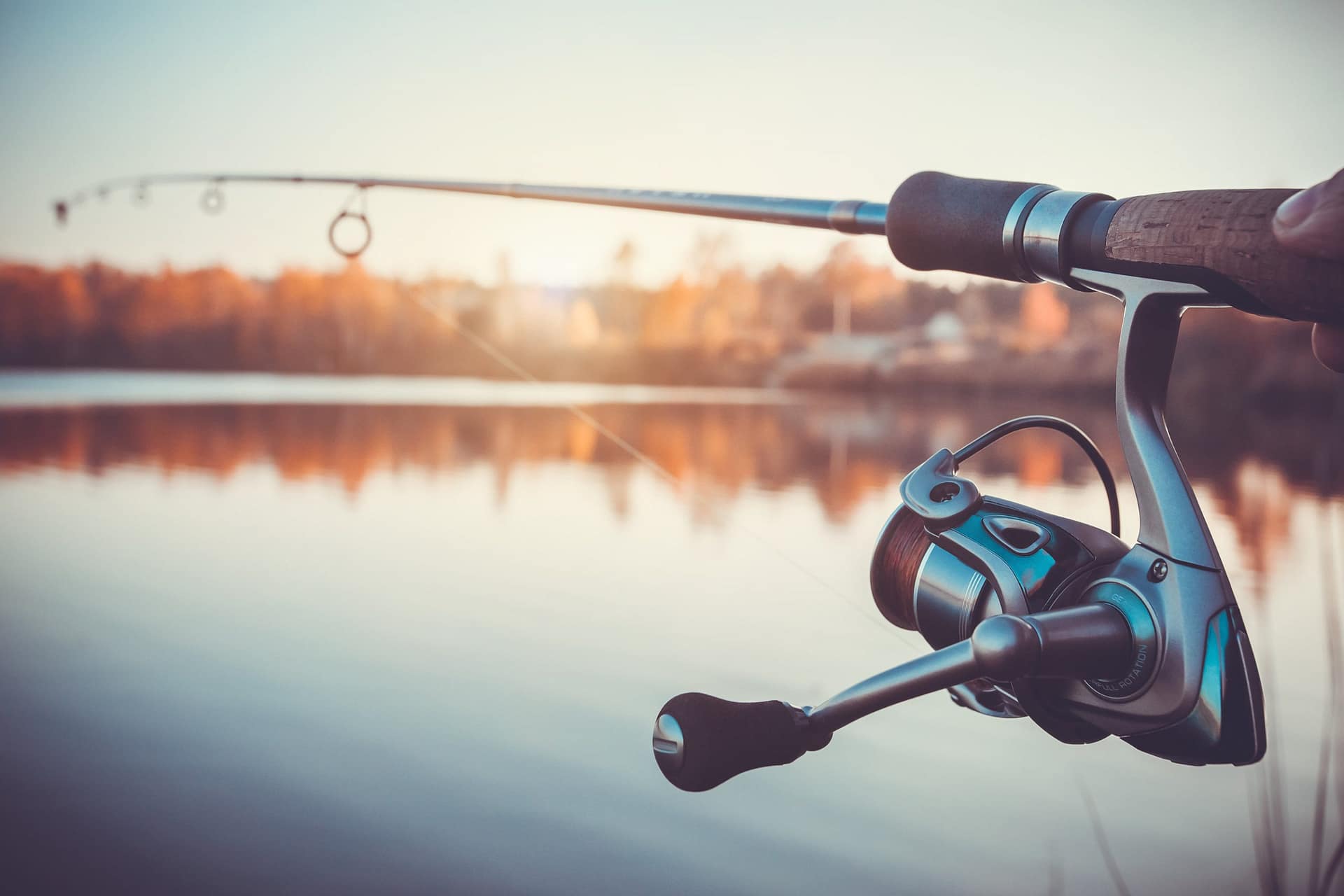 Fishing Rod Buying Guide and Review Angler Gram (AG) is a fishing Guide website Helping you